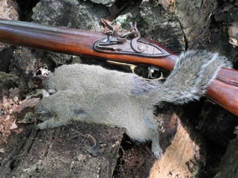 operation game|Not a bad haul for Missouri's squirrel opener.